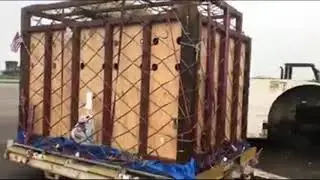 ট্রাম্পের দেশের ‘বাদশা’ উড়োজাহাজ চড়ে এলো ঢাকায়!