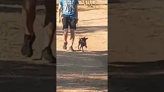 Команда рядом 🐕‍🦺 