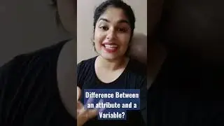 Difference Between an attribute and a Variable? 