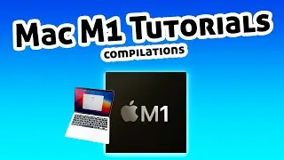 My Mac M1 Tips and Tutorials. MAMP, ADOBE, MySQL, PHP, Pros and Cons