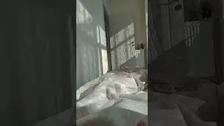Vur dibine eğlencenin - Kate kuray twich nude video