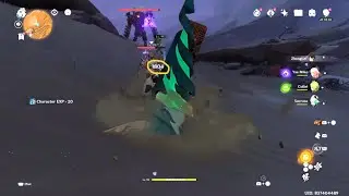Enemy damaged by Wenut but not by Ruin Guard?! (Genshin Impact)