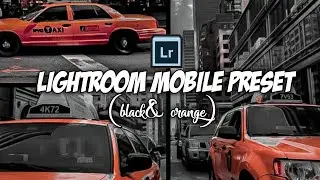 Lightroom Mobile preset | (Black Orange)