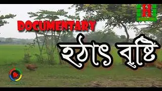 হঠাৎ বৃষ্টি | এই গড়মে শীতল হওয়ার তথ্যচিত্র