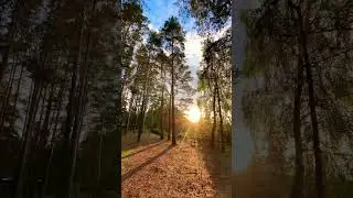 #окунево