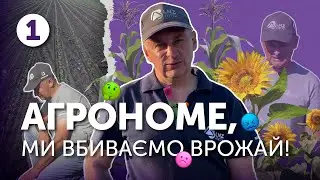 Яка правильна глибина посіву | Агрономе, ми вбиваємо врожай!