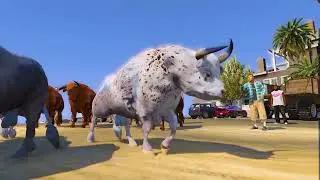 Angry😡Australian bull 