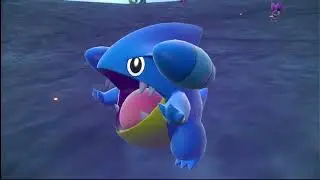 Shiny squirtle epic shiny hunter ✨️