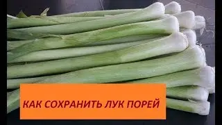 266.КАК СОХРАНИТЬ ПОРЕЙ, ТРИ СПОСОБА ХРАНЕНИЯ