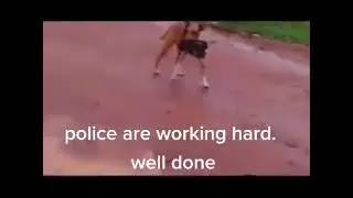 ciee si anjir ke tangkap pak pol