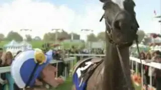 Talking Horse