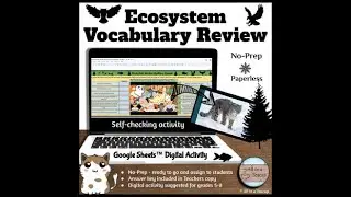 Ecosystem Vocabulary Review Mystery Winter Picture Selfchecking Digital Activity