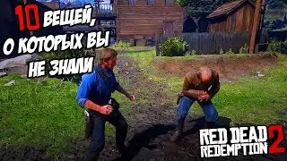 МЕЛЬЧАЙШИЕ ДЕТАЛИ, КОТОРЫЕ ВЫ НЕ ЗАМЕЧАЛИ В RDR 2 (Red Dead Redemption 2)