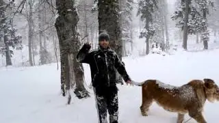 Лев В ингушетии