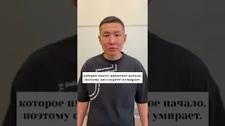 Душа и тело