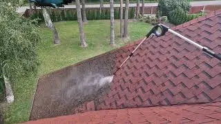 Moss cleaning / Sūnu attīrīšana / Чистка мха