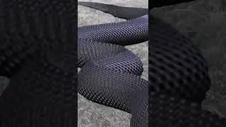 nose snake status