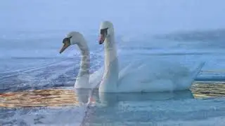 "Зимние пейзажи родного края"