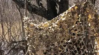 Маскировочная сеть весенняя утка