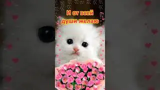 Для женщины, девушки, мамы,хорошего дня,музыкальная открытка с 