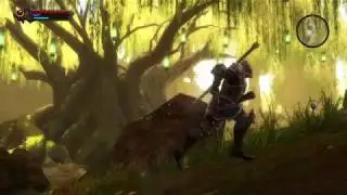 Kingdoms of Amalur: Reckoning™ / Proton 4.2-3 (Steam)