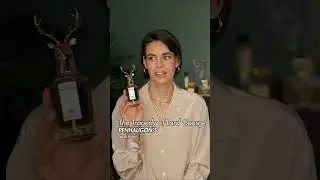 DIESE MÄNNER RIECHEN NACH ERFOLG! | Leni's Scents 