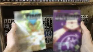 The Rarest Manga in My Collection!
