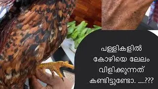 പള്ളിയിൽ ലേലം വിളിക്കുന്നത് കണ്ടിട്ടുണ്ടോ..???ഒരു കോഴിയെ ലേലം വിളിച്ച വില കേട്ടോ😳