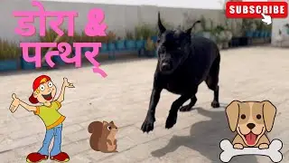 जब डोरा को मिला पत्थर 😃