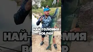 Единствената в България ЛЮЛКА ЩУКА само в ГЕРМАН! #pike #щука #платенриболов #pikefishing #kids #fun