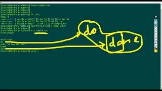 Finding patterns from file Shell Script