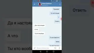 Переписка с фейком  алены шейковой