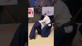 Дзюи вадза #айкидо