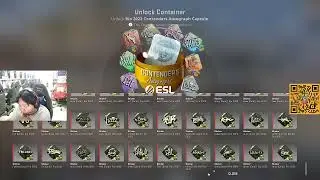 CSGO CAPSULE IEM RIO 2022