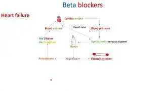 Beta blockers - Part 5 - in Arabic