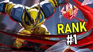 RANK 1 WORLD WOLVERINE - HavocMR ttv | MARVEL RIVALS POV GAMEPLAY