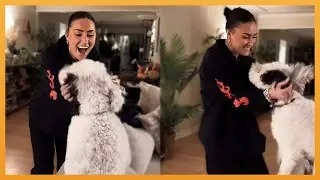 Most Heartwarming Dog Reunion with Their Owners That Will Touch Your Heart!