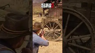 Red Dead Redemption 2 Vs Assassin's Creed Shadows 