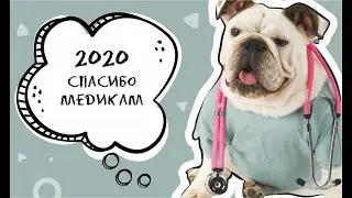 Спасибо медикам 2020