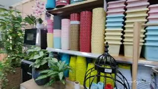 Dubai Plant Nursery | Exploring UAE
