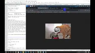 22Tr0ll buffer overflow