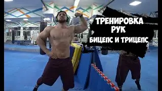 ПОДГОТОВКА БОДИБИЛДИНГ, ТРЕНИРОВКА РУК | Максим Горносталь
