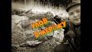 Улов в мерёжу