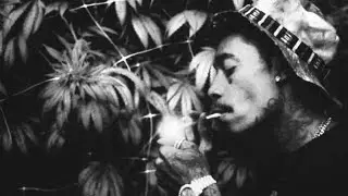 Still Blazin-Wiz Khalifa