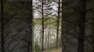 МАЛУКСА