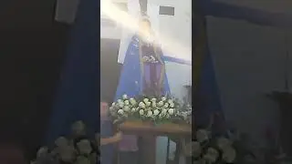VID 20240908 174445