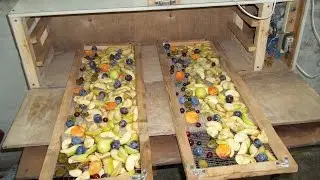 DIY fruit dryer