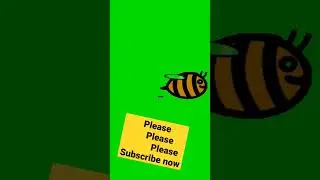 green screen flying bee and birds