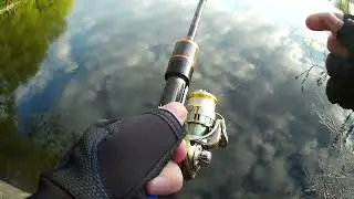 Укл.)) #shorts #рыбалка #рек #тренды #втренде #топ #rybalkaestrybalka #врек #fishing #мормышинг