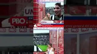 ¿Paolo no está al tanto de los contratos?